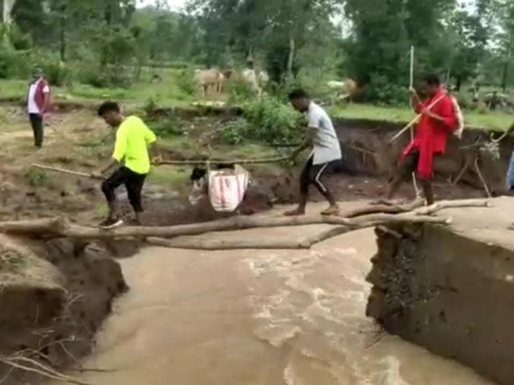 उफान के बीच में पेड़ डालकर जोखिम ले कर जा रहे लोग