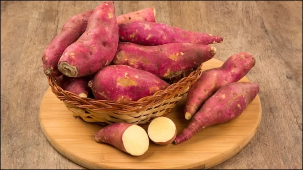 Sweet Potato Benefits: सेहत के लिए काफी लाभदायक है सर्दियों में शकरकंद का सेवन,