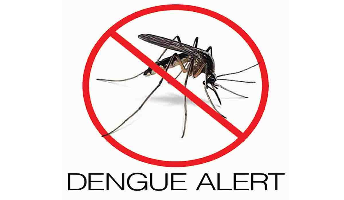 Uttarakhand is ravaged by dengue, after the plains, now the number of patients is increasing in the mountains too.