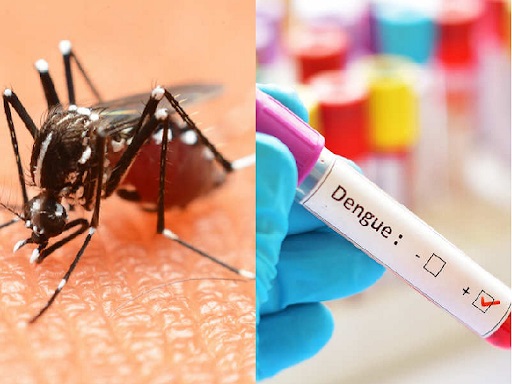 dengue-havoc-continues-in-uttarakhand