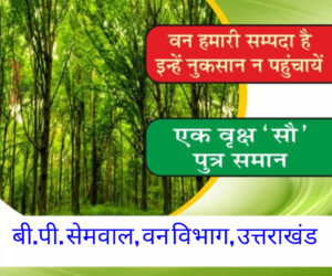 InShot_20250502_135458100-300x250 क़ानून:उत्तराखंड में सशक्त भू-कानून लागू:अब नहीं बिकेगी बेतहाशा जमीन