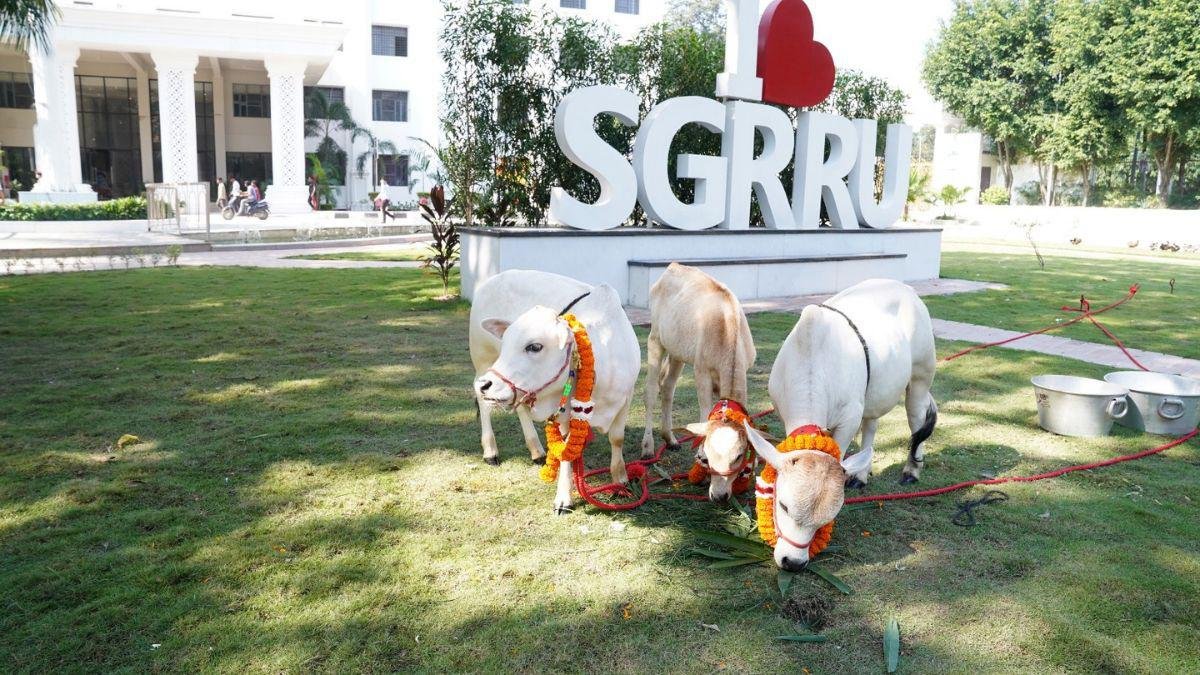 दून के इस प्रतिष्ठित विश्वविद्यालय में आई दुनिया की सबसे लघु नस्ल की नैनो गाय