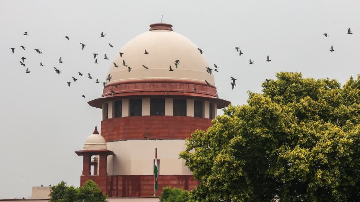 ओबीसी क्रीमी लेयर मामले में सुप्रीम कोर्ट के निर्देशों का इंतजार कर रहा केंद्र, 958 उम्मीदवारों की सेवा आबंटन पर असर