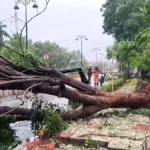 चक्रवात अर्णब का असर: आंध्र प्रदेश और यानम तटों से टकराया तूफान, भारी बारिश के बीच जनजीवन प्रभावित