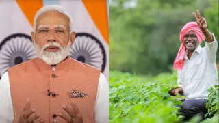 e0a4a6e0a4b2e0a4b9e0a4a8-e0a4a4e0a4bfe0a4b2e0a4b9e0a4-real-1 दलहन-तिलहन किसानों के लिए केंद्र सरकार का बड़ा कदम, एमएसपी से भाव गिरने पर सीधे मंडियों में होगी खरीद