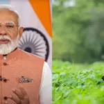 दलहन-तिलहन किसानों के लिए केंद्र सरकार का बड़ा कदम, एमएसपी से भाव गिरने पर सीधे मंडियों में होगी खरीद