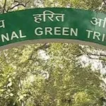 माइक्रोप्लास्टिक मामले में CPCB को रिपोर्ट सौंपने के लिए एनजीटी ने दिए 8 सप्ताह