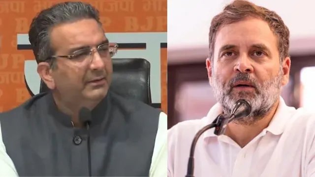 विदेशी संगठनों के जरिए देश में अराजकता फैला रहे हैं राहुल गांधी: बीजेपी